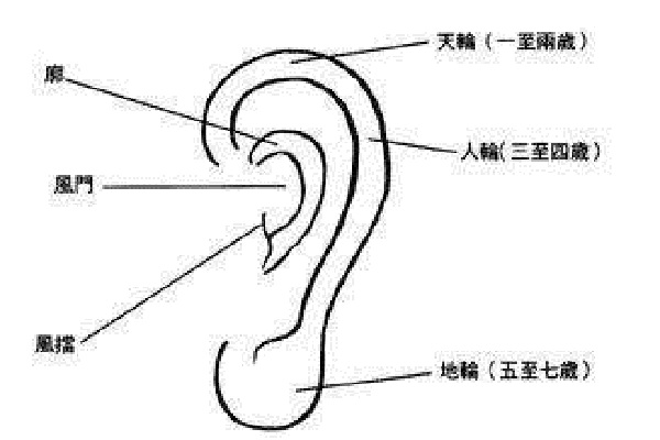 看耳形知体质，观耳表辨疾病