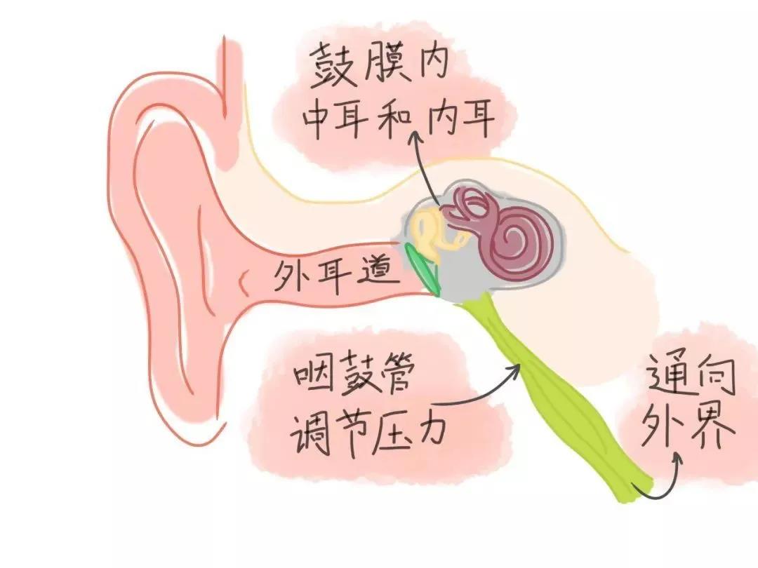 外耳道炎的预防